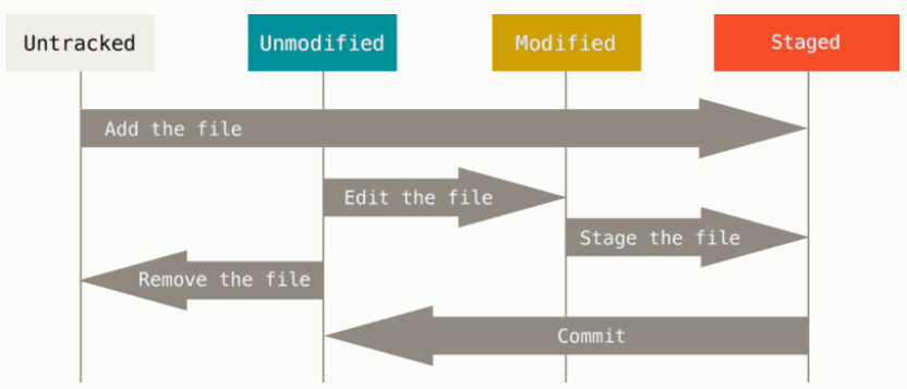 image-20191209141635967